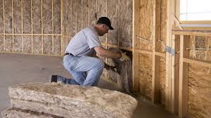 Types of Insulation We Offer in Roanoke, TX